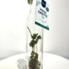 Préparation pour vinaigrette aux herbes italiennes