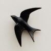 Grande hirondelle – Image 2
