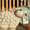 Moutons d’extérieur « petit »