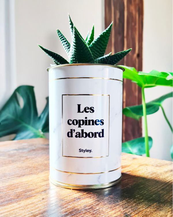 Plante en pot inscription « Les copines d’abord »