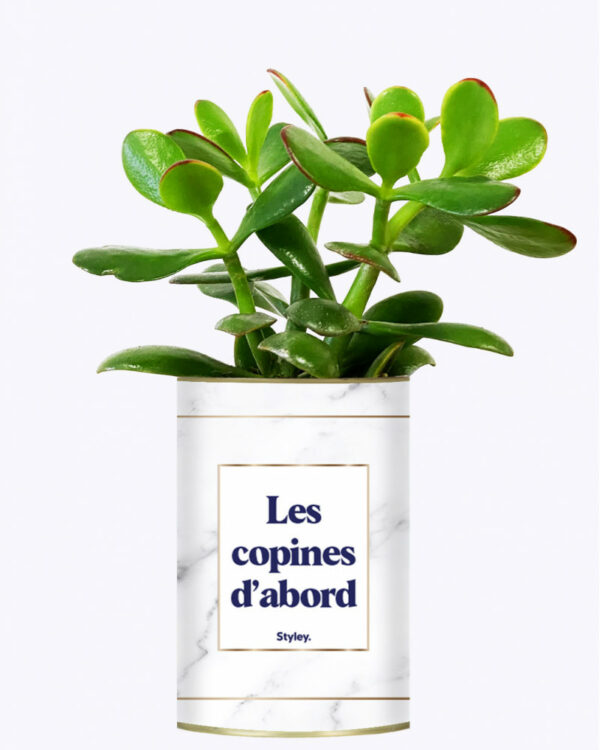 Plante en pot inscription « Les copines d’abord » – Image 2