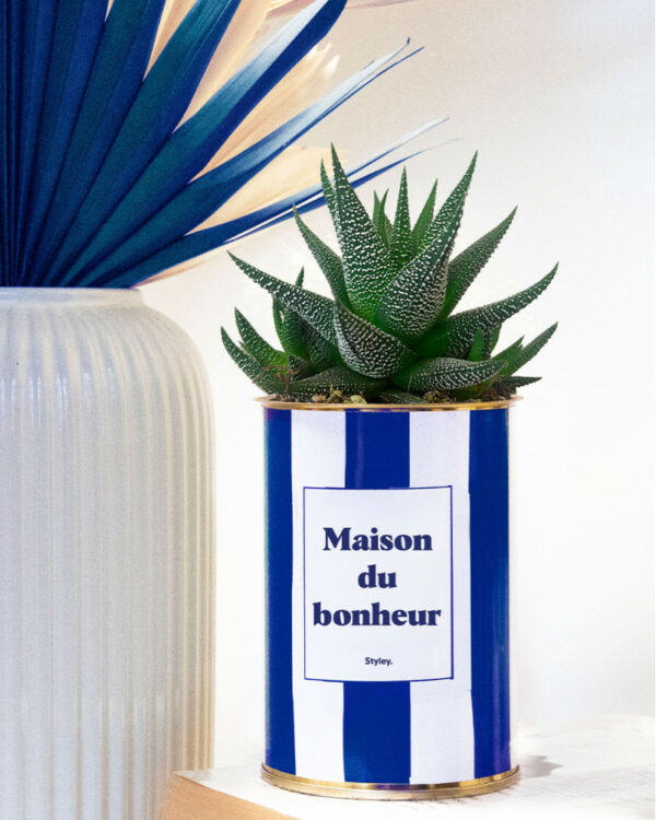 Plante en pot inscription « La maison du bonheur »
