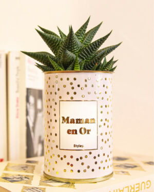 Plante en pot inscription « maman en or »