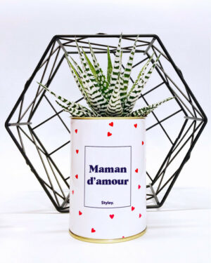 Plante en pot inscription « maman d’amour »