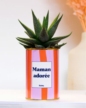 Plante en pot inscription « maman adorée »