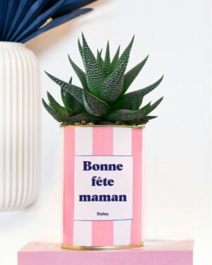 Plante en pot inscription « Bonne fête maman  »
