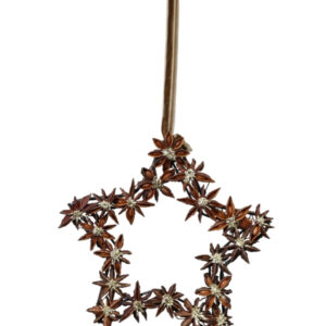 Anis étoilé pailleté