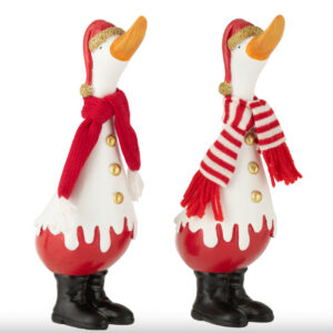 Grand canard hivernal