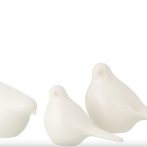 Hirondelle porcelaine blanche