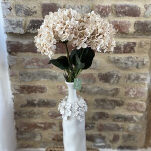 Fleur d'hortensia blanche