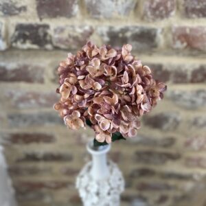 Fleur d'hortensia rose