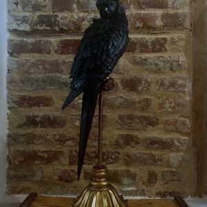 Perroquet noir sur perchoir doré