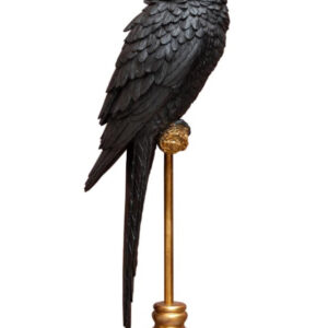 Perroquet noir sur perchoir doré