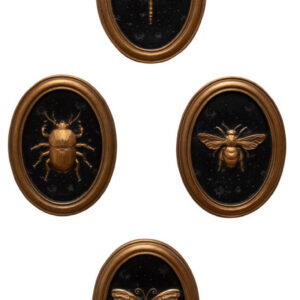 Cadres insectes